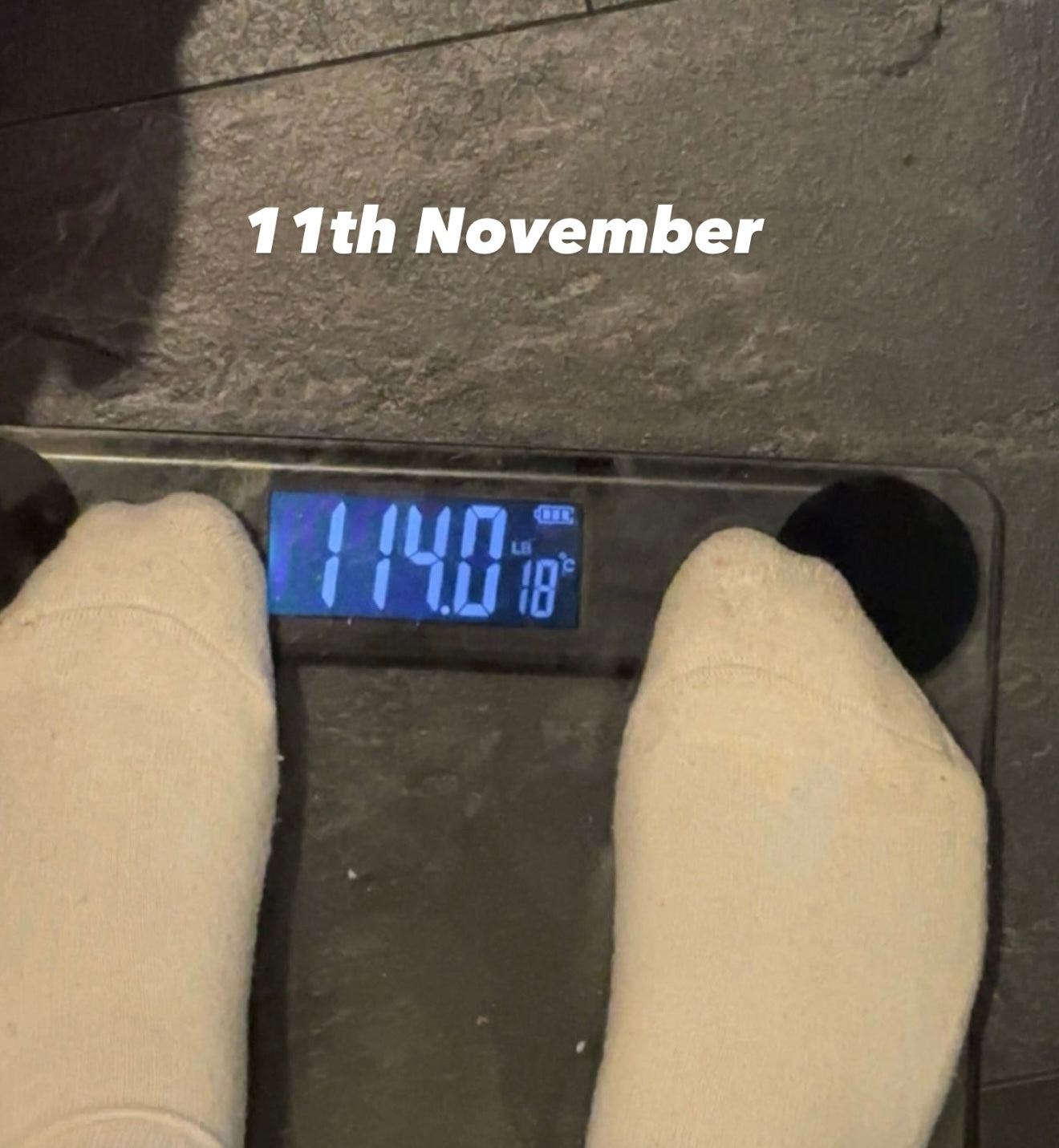 Weight Gain Supplement set