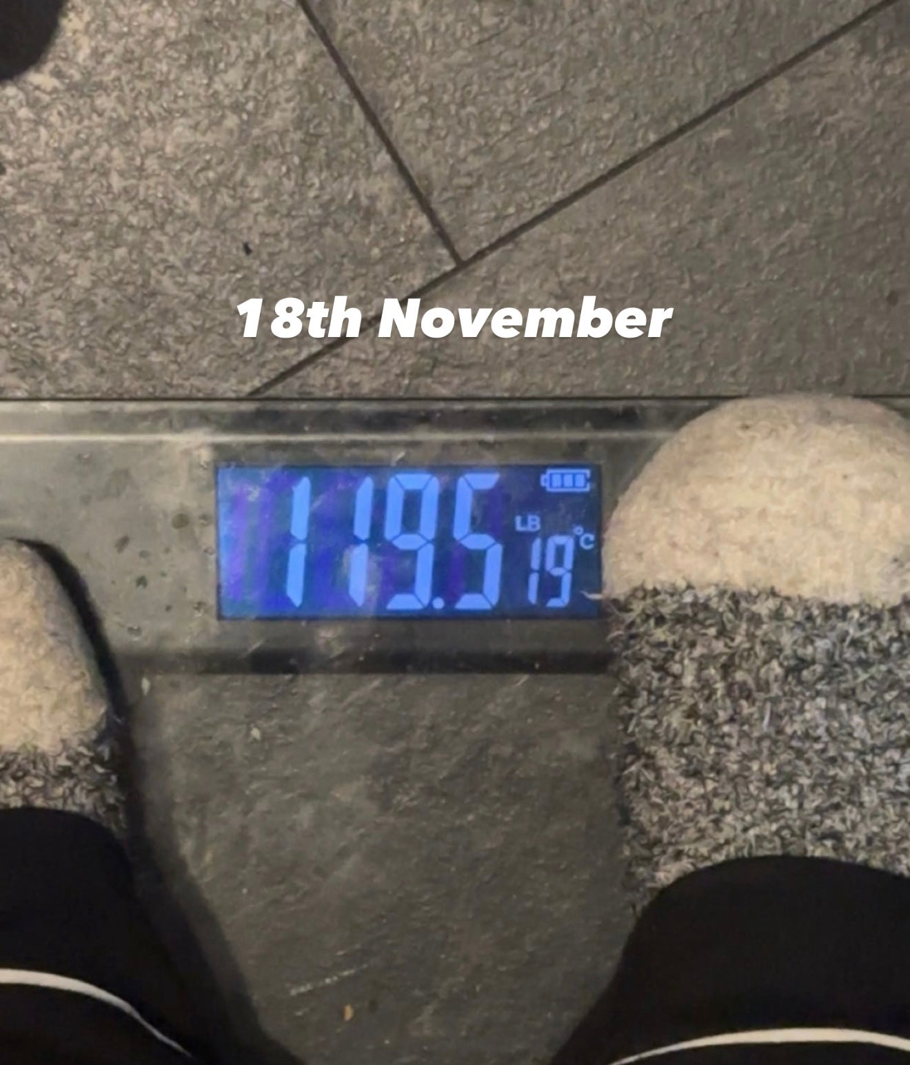 Weight Gain Supplement set
